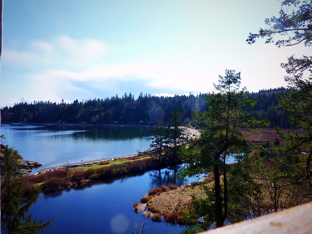 Sargeant Bay Provincial Park Sargeant Bay Society